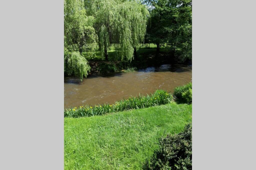 Maison Au Bord De La Riviere Dronne En Perigord Vert Saint-Front-la-Rivière Exteriör bild
