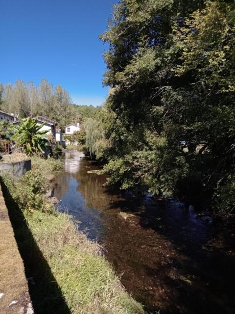 Maison Au Bord De La Riviere Dronne En Perigord Vert Saint-Front-la-Rivière Exteriör bild